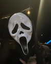clarissabeaa Altpins Profile Picture