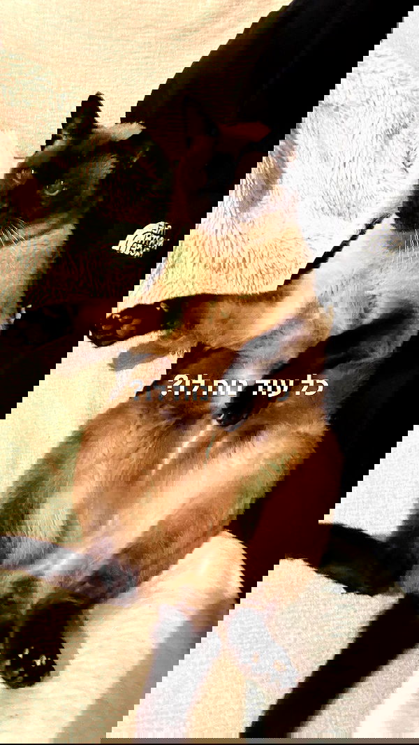 laluzone laluzone archive image