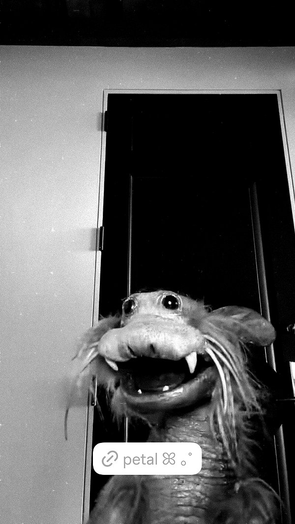 arianagrande instagram image archive image