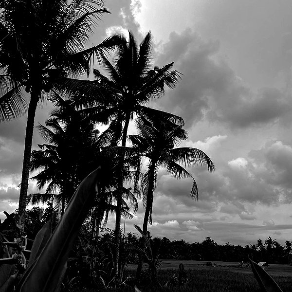 amatveyko instagram image archive image
