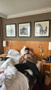 michalcohen___ Altpins Profile Picture