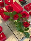 daryanedarya Altpins Profile Picture