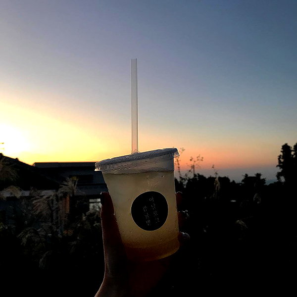 daxbin instagram image archive image