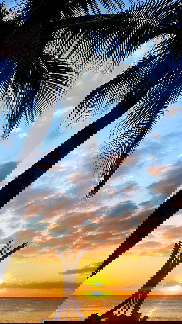 taylor.creeden taylor.creeden archive image