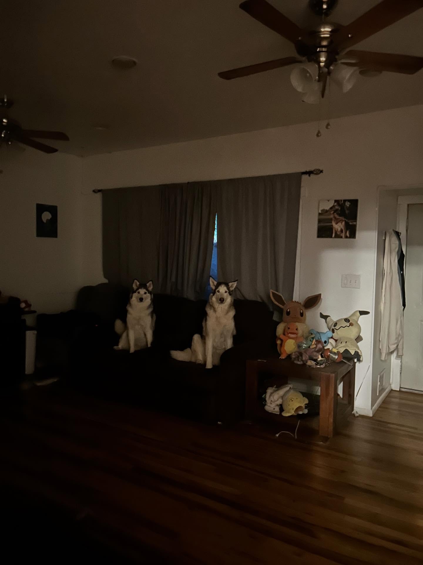 _animechika_ instagram image archive image