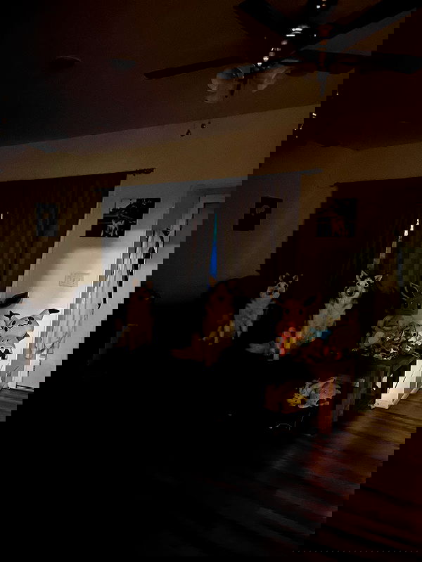 _animechika_ image ~ Altpins