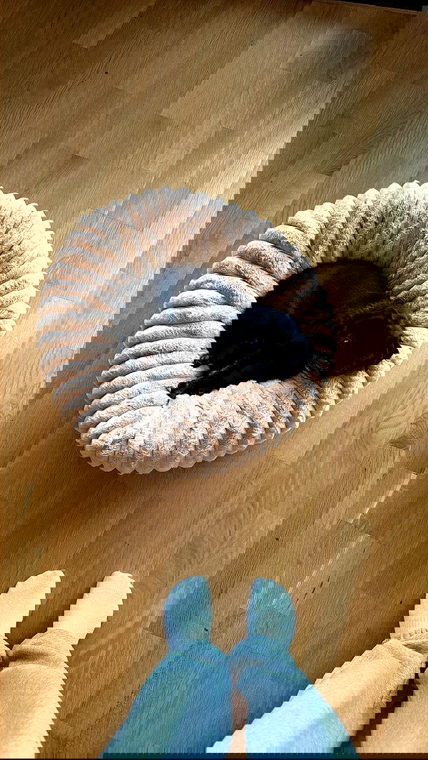 alexis.blond alexis.blond archive image