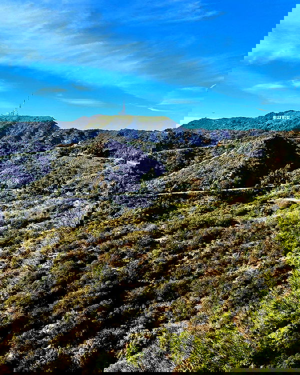 giuliahere giuliahere archive image