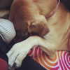 sashapieterse Altpins Profile Picture