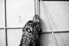 adele Altpins Profile Picture