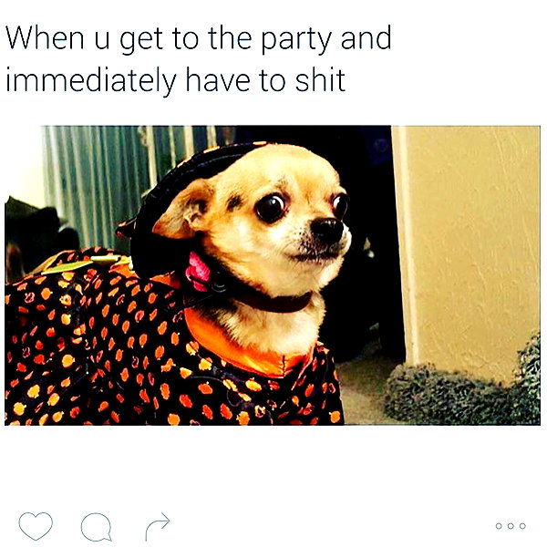 lilbieber instagram image archive image