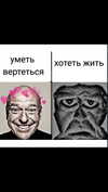 amatveyko Altpins Profile Picture