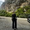 pavuk1_0 Altpins Profile Picture