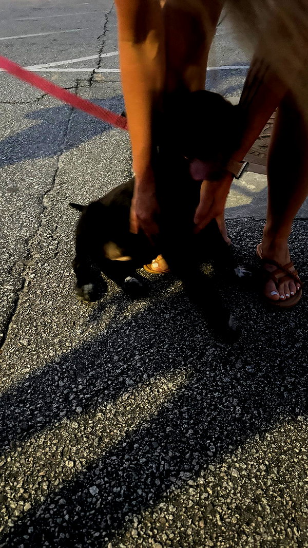 olivia.bolgerr instagram image archive image