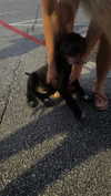 olivia.bolgerr Altpins Profile Picture