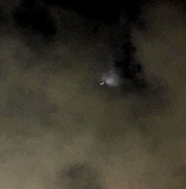 moonliliaght instagram image archive image