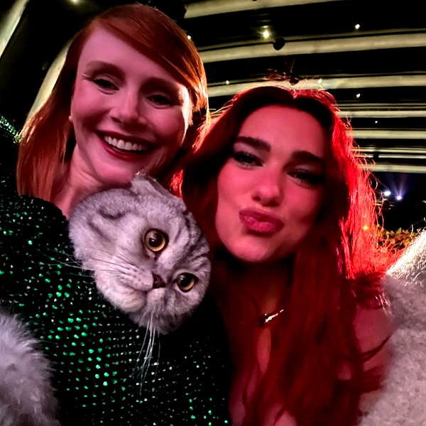 dualipa instagram image archive image