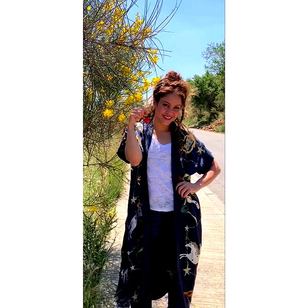 shakira instagram image archive image