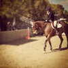 gigihadid Altpins Profile Picture