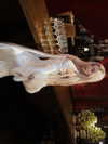 lyhythuedoxinh Altpins Profile Picture