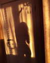 alishevs Altpins Profile Picture