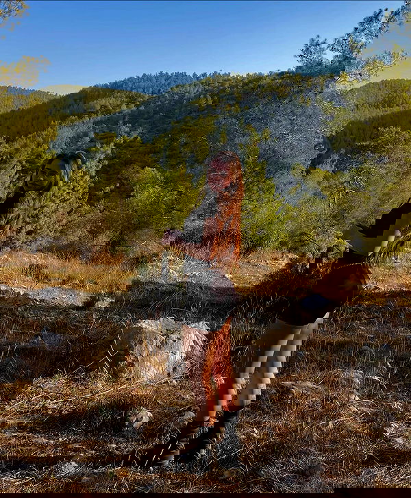 valeryy.t1 image ~ Altpins