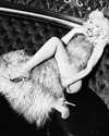 xtina Altpins Profile Picture