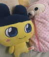 0bitsumirai Altpins Profile Picture