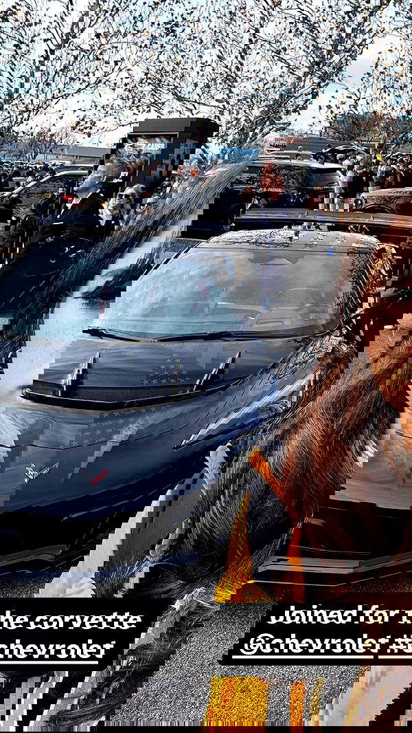 haylujan haylujan archive image