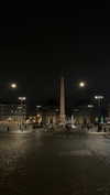 federica.piccinni Altpins Profile Picture