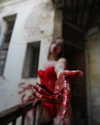 karin_orhov Altpins Profile Picture
