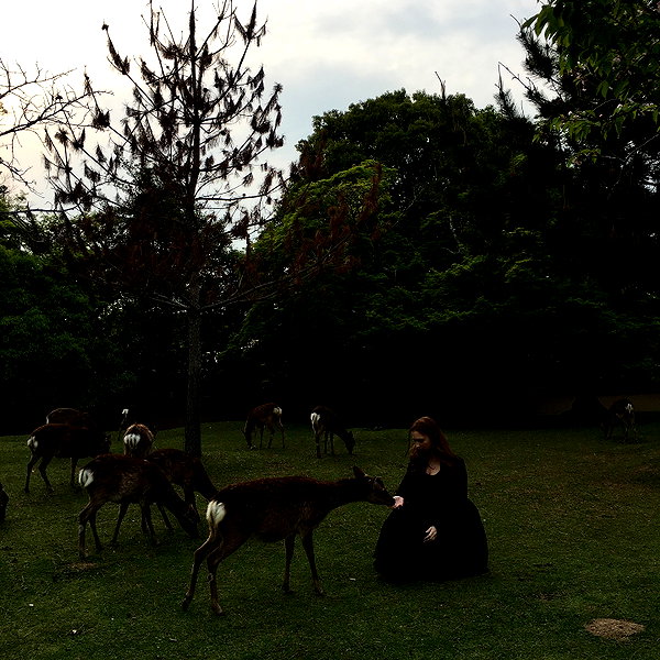 renatarrii instagram image archive image