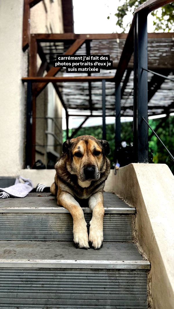 _urbaneva instagram image archive image