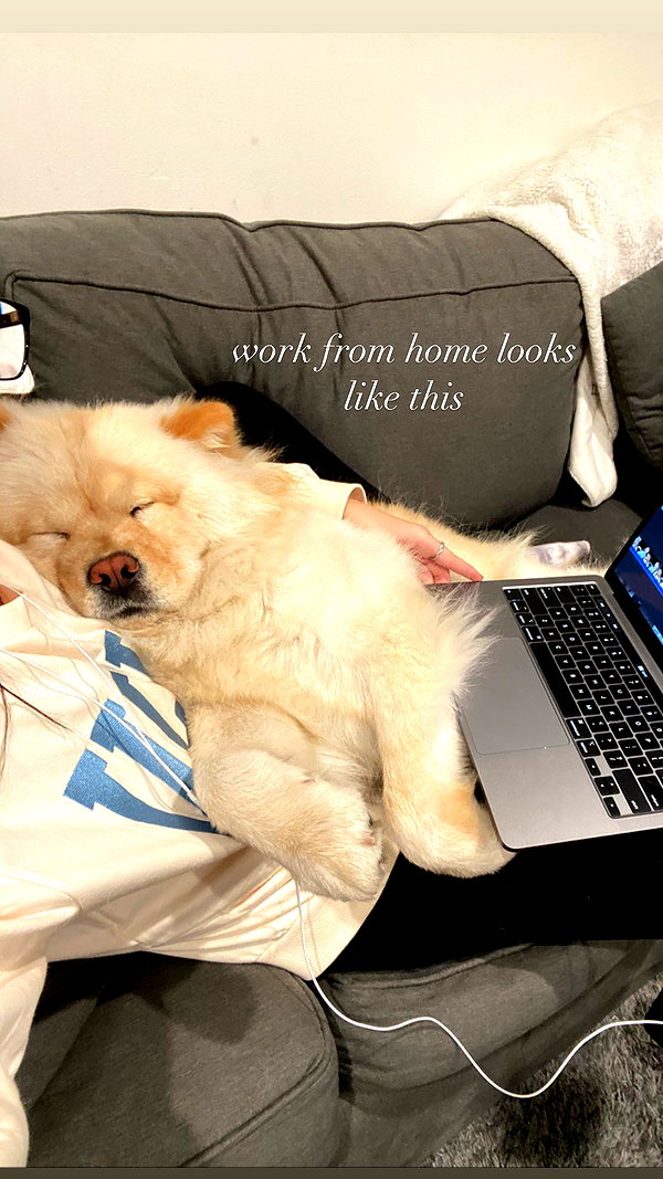 chloerosenbaum instagram image archive image