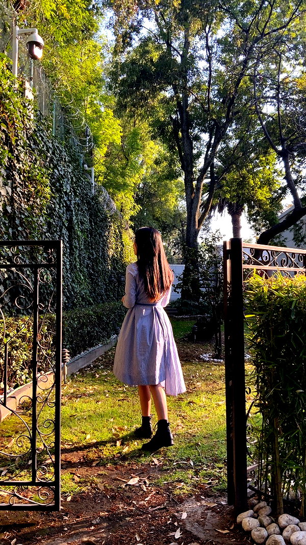 shulunc instagram image archive image
