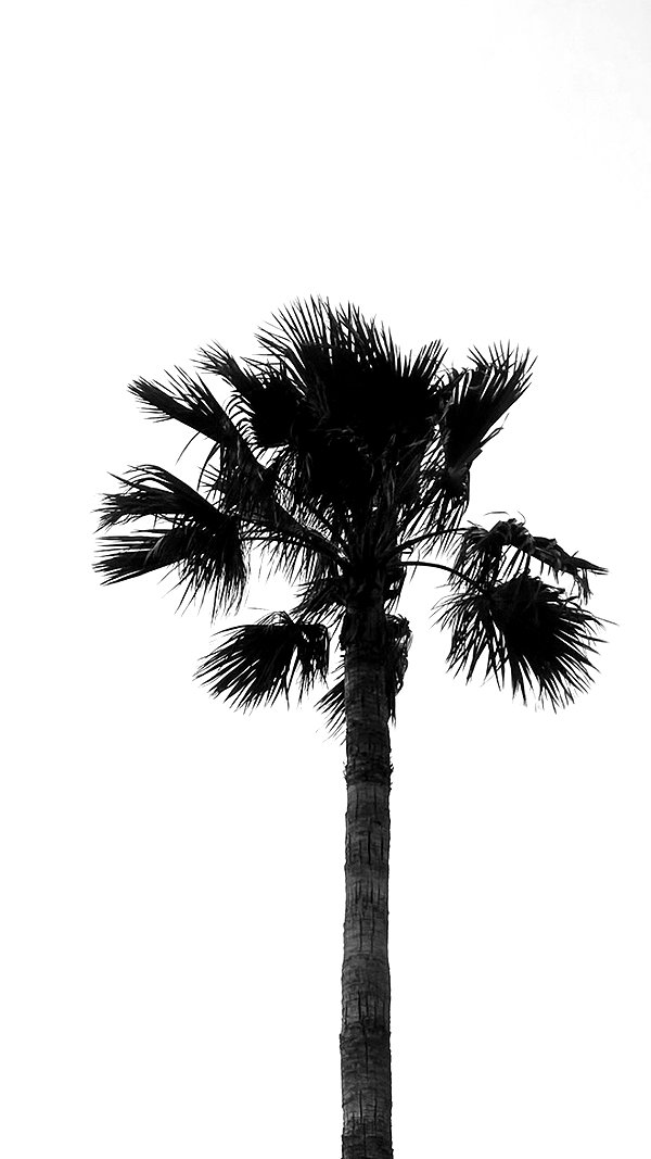 hollyjai archive image
