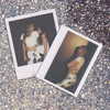 gigihadid Altpins Profile Picture