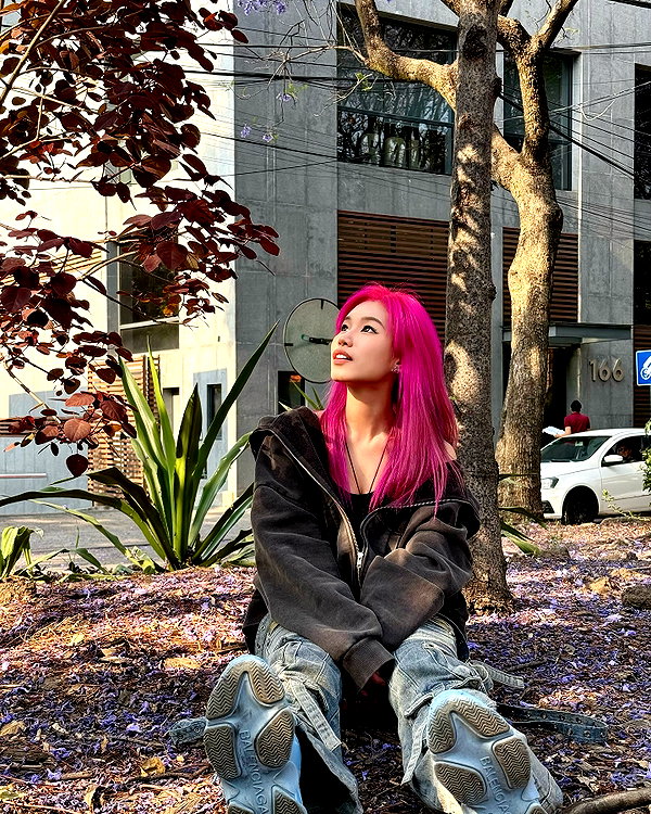 shulunc instagram image archive image