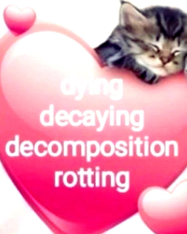 rachelchaleff instagram image archive image