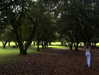 daisy_r_19 Altpins Profile Picture