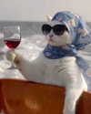 ellaexplicit_ Altpins Profile Picture