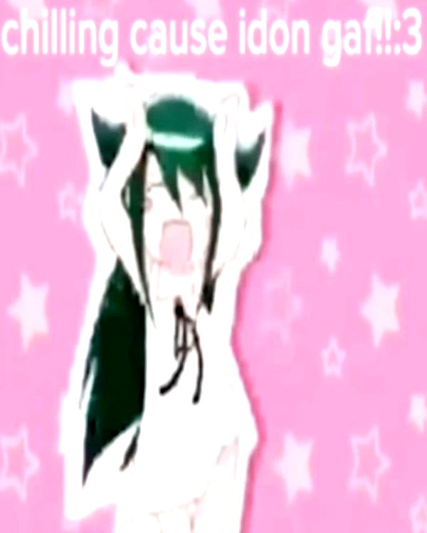 sashasucc sashasucc archive image
