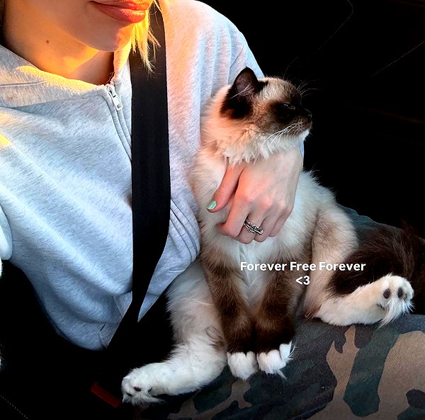 leni.bahr instagram image archive image