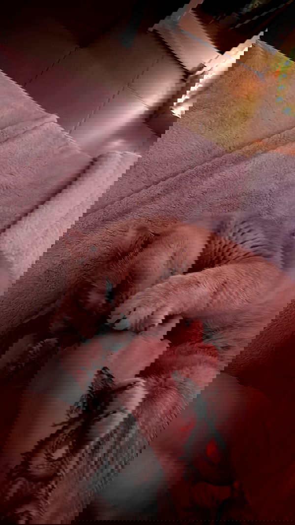 bbyerikss bbyerikss archive image