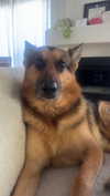 little.warren_ Altpins Profile Picture