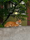 lbssue Altpins Profile Picture