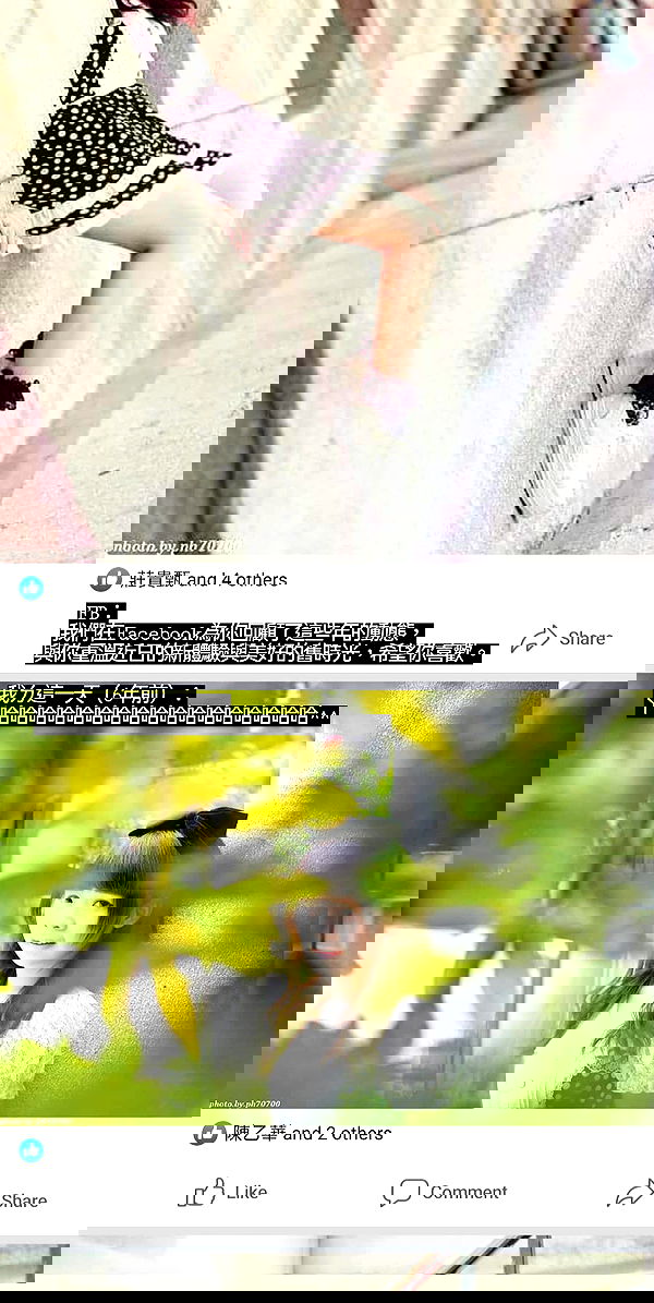 ting851204 ting851204 archive image