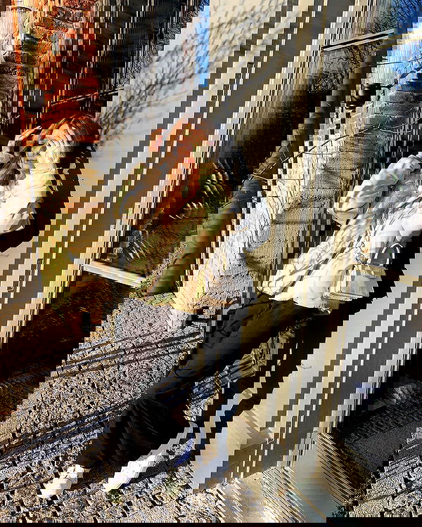 pinx_ir pinx_ir archive image