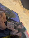 strawberryshanz Altpins Profile Picture
