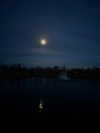 astarwbry_ Altpins Profile Picture